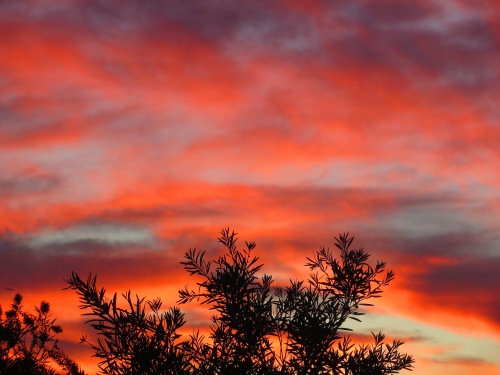 Sunset Tuggeranong Canberra Australia 17th January 2015 Sonya Heaney